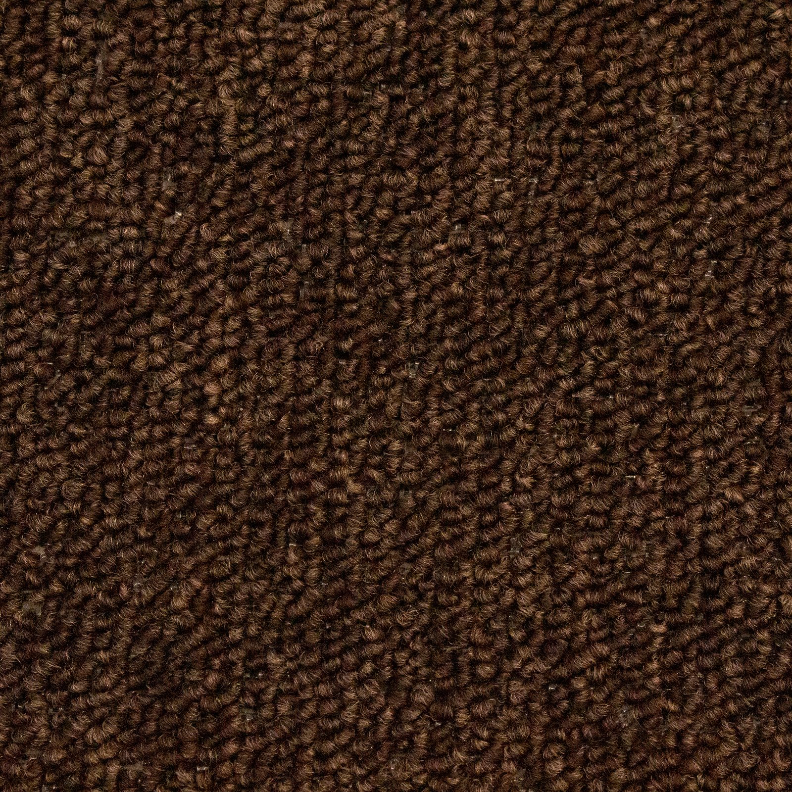 Alfombra Bear Camp7 de Nudo o Rizo