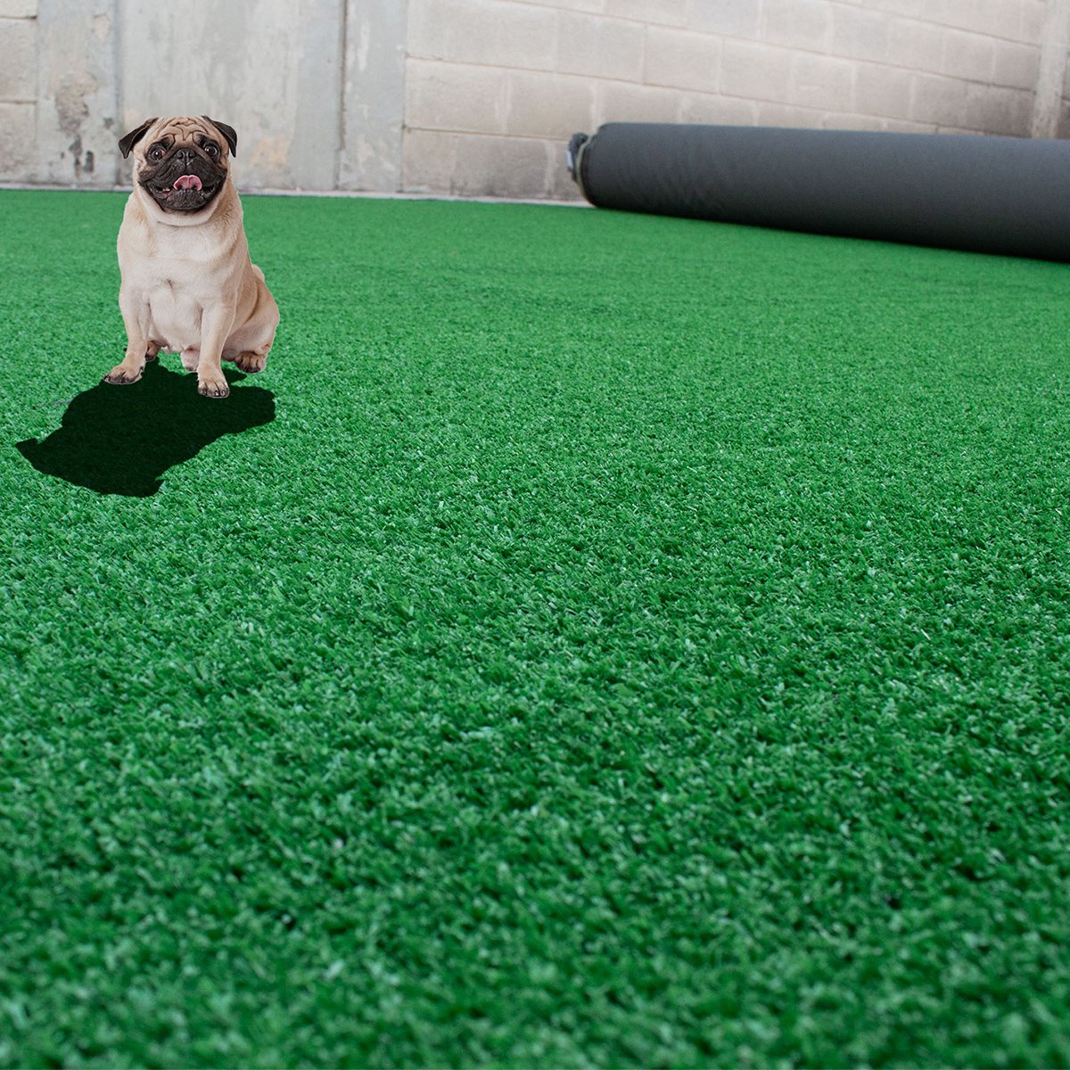 Pasto Sintetico M12 de 12 mm – Intermedio